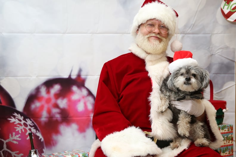 Pets Meeting Santa PS Pets
