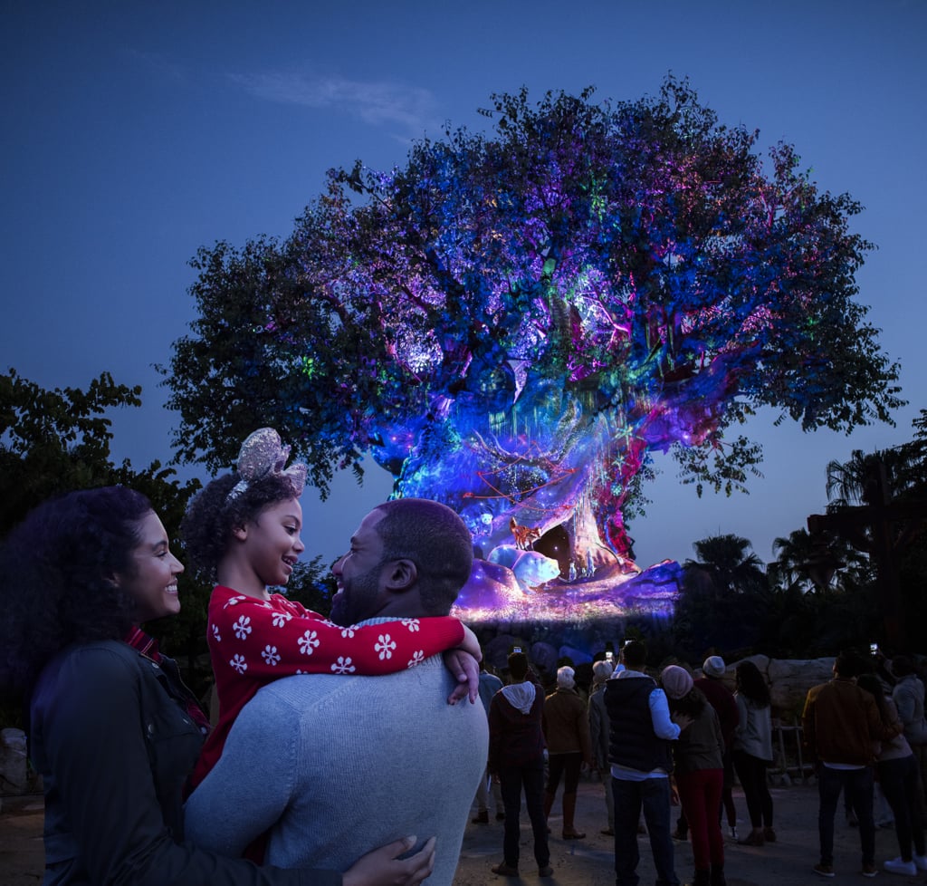 Disney's Animal Kingdom: The Tree of Life