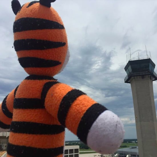 Boy Leaves His Tiger in an Airport and It Goes on Adventure