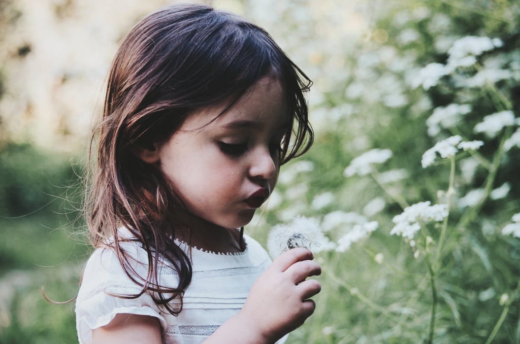 Make wishes on dandelions.