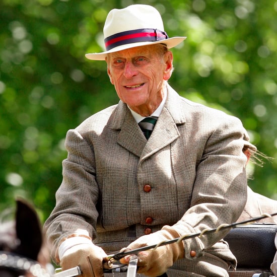 Prince Philip Driving Carriage Video May 2017