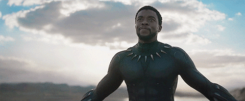 The Highest Grossing Movie of 2018: Black Panther
