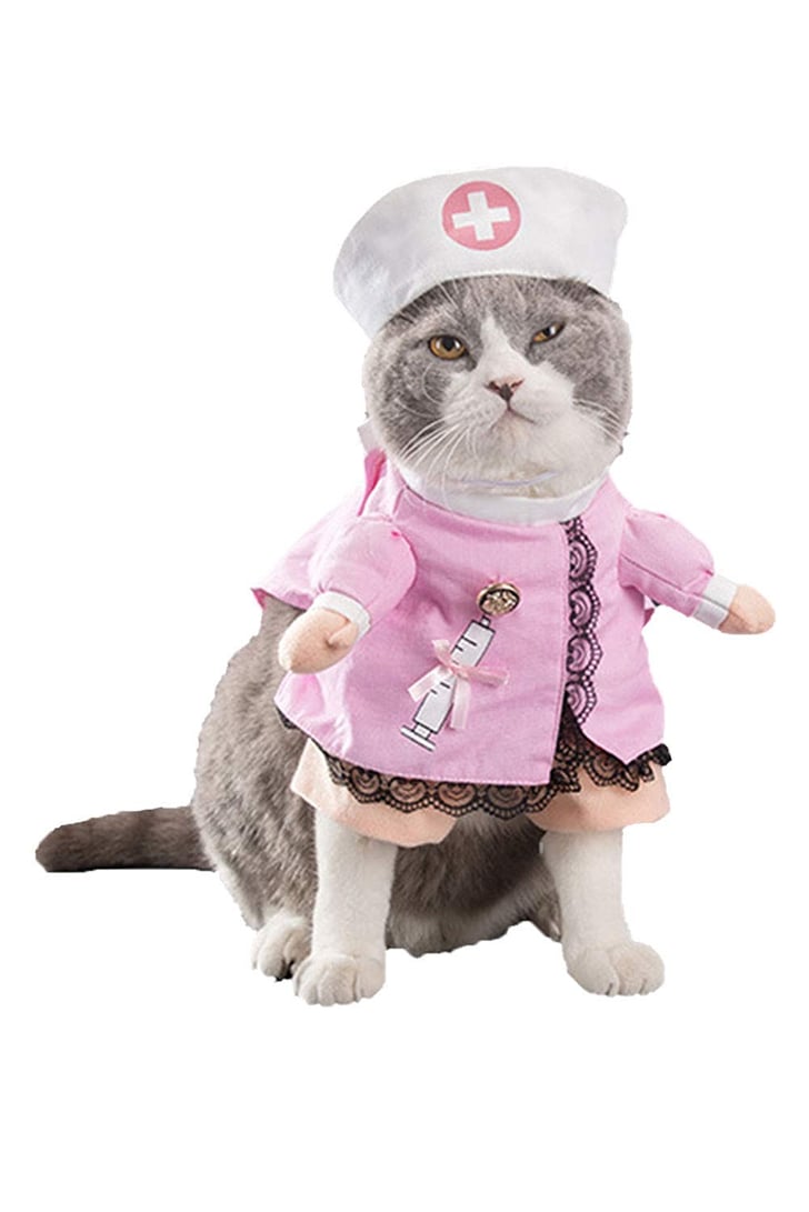 Cat Nurse Costume Best Cat Costumes For Halloween 2019 POPSUGAR Pets Photo 47
