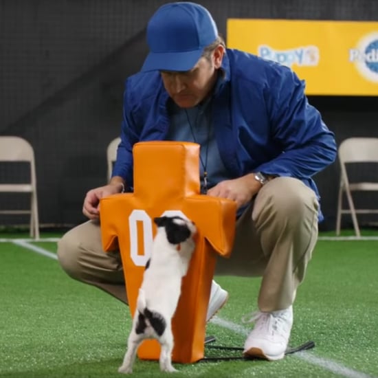 Puppy Bowl Tryout Video