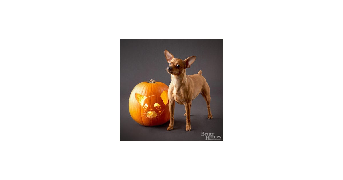 chihuahua-downloadable-dog-breed-pumpkin-stencils-popsugar-pets