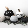 19 Painted Pumpkin DIYs So Darling, You'll Want to Run Out and Buy a Paintbrush