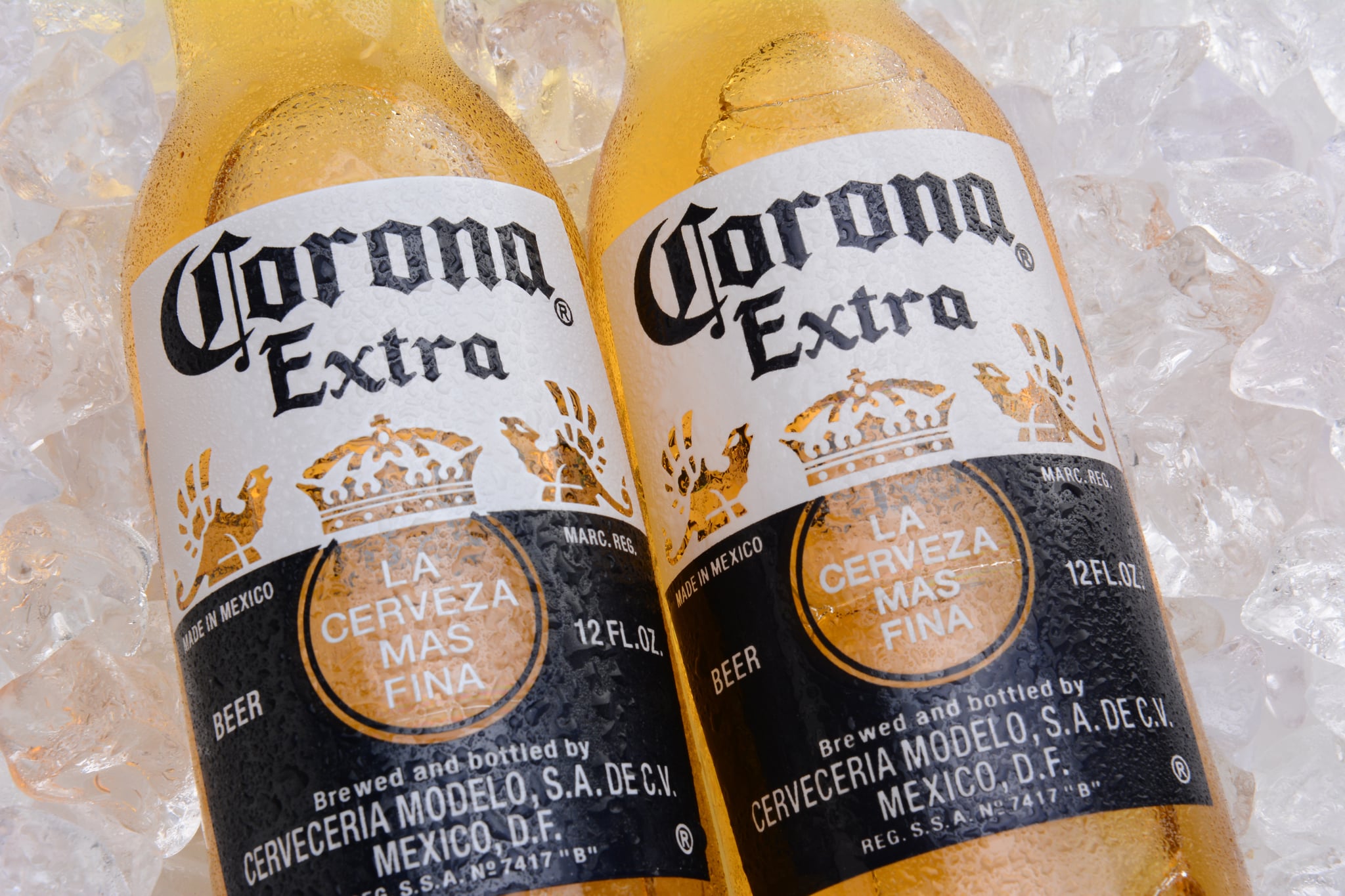 Corona Beer Recall March 2016 | POPSUGAR Latina