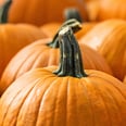 All the Healthy Reasons You Should Eat Pumpkin