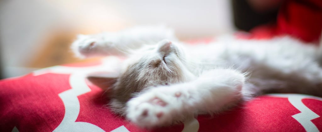 A Sleep Physician Reveals 20 Expert Secrets For a Better Night's Rest