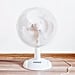 Which Way Should Fans Spin in Summer?