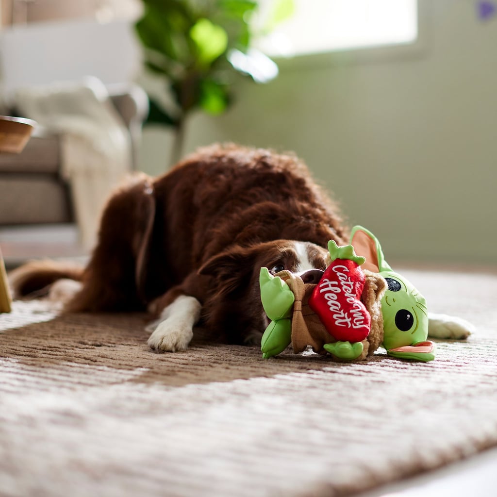 星球大战玩具狗:《星球大战》情人节Grogu弹道尼龙毛绒吱吱响的狗玩具