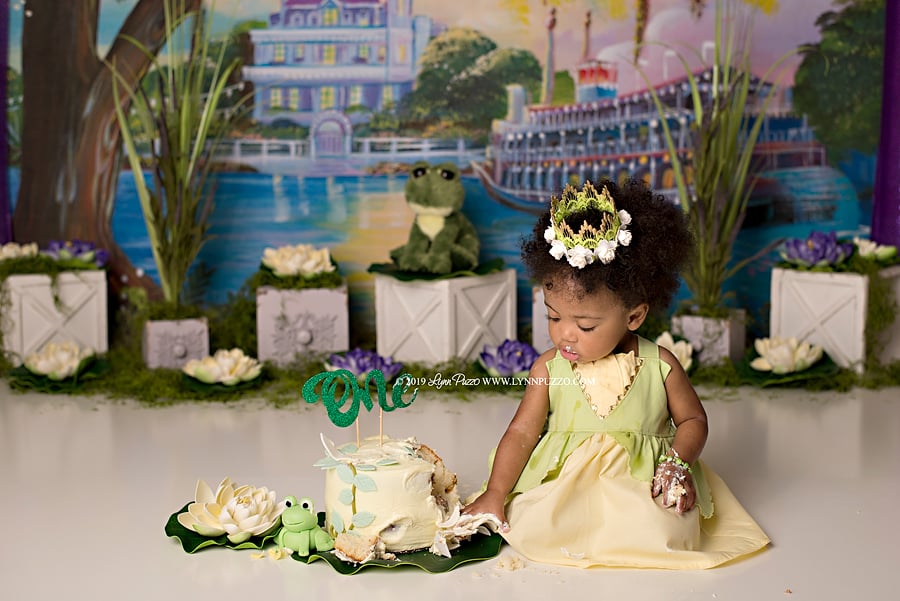 Princess and the Frog Cake Smash