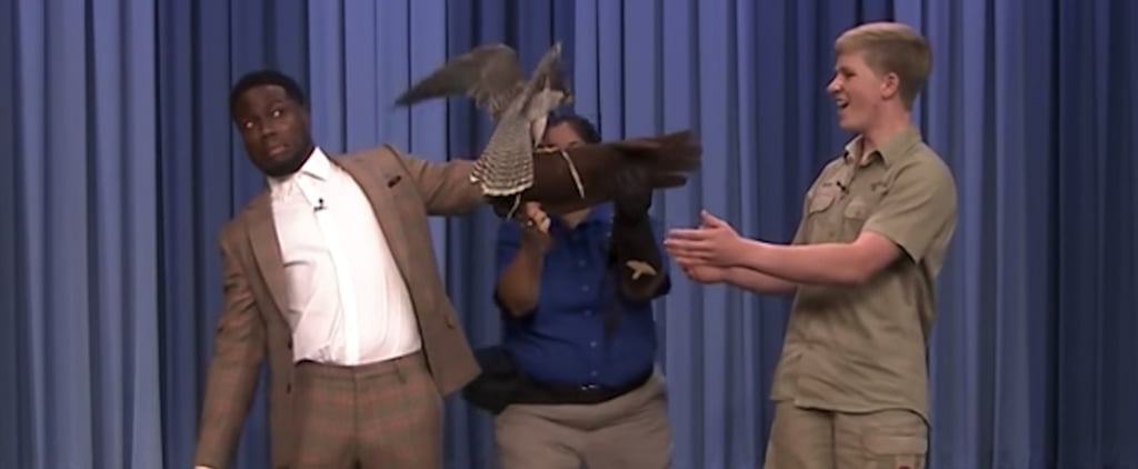 Robert Irwin Brings Out Animals on The Tonight Show, and We've Never Seen Kevin Hart So Scared