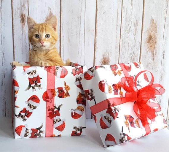 Kittens in Santa Suits Christmas Wrapping Paper