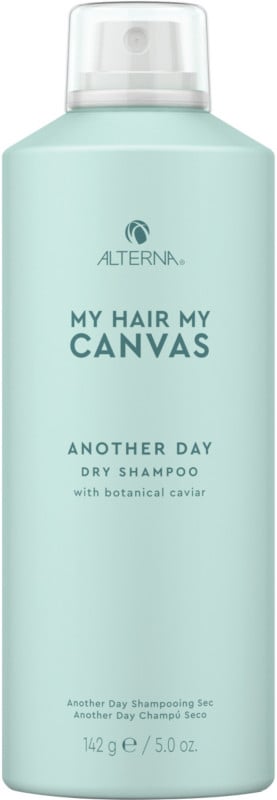 Alterna My Hair My Canvas Another Day Dry Shampoo