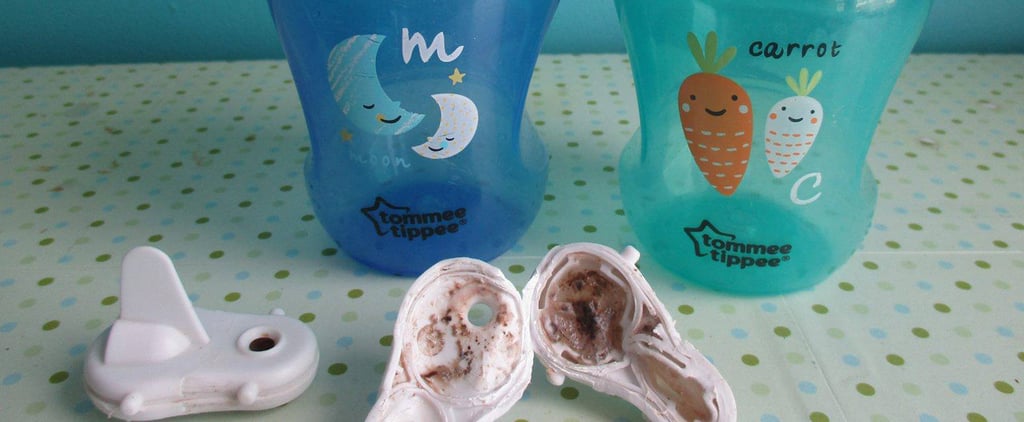 Tommee Tippee Sippy Cup Mold Response