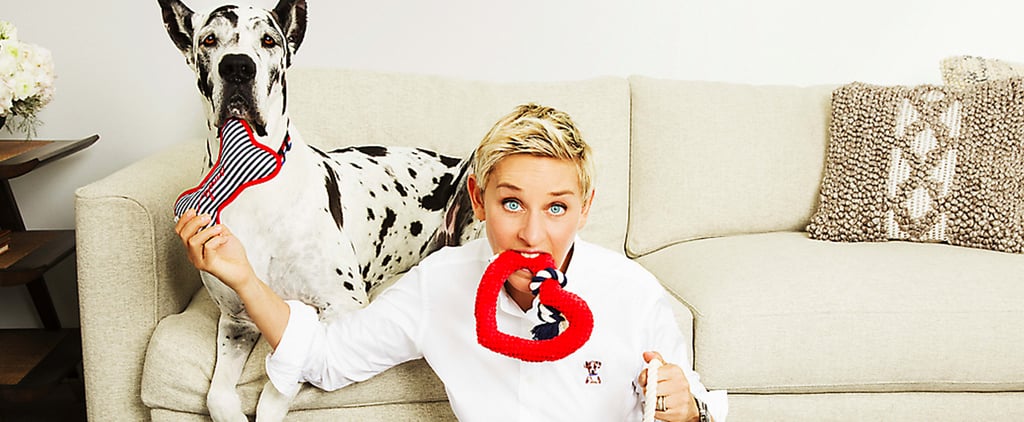 Ellen DeGeneres x PetSmart Dog Toys