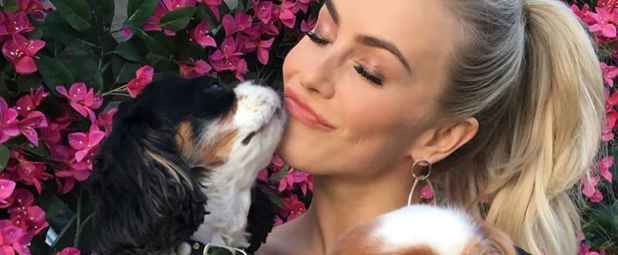 Julianne Hough Pens Heartfelt Note to Dogs Lexi and Harley After Their Passing