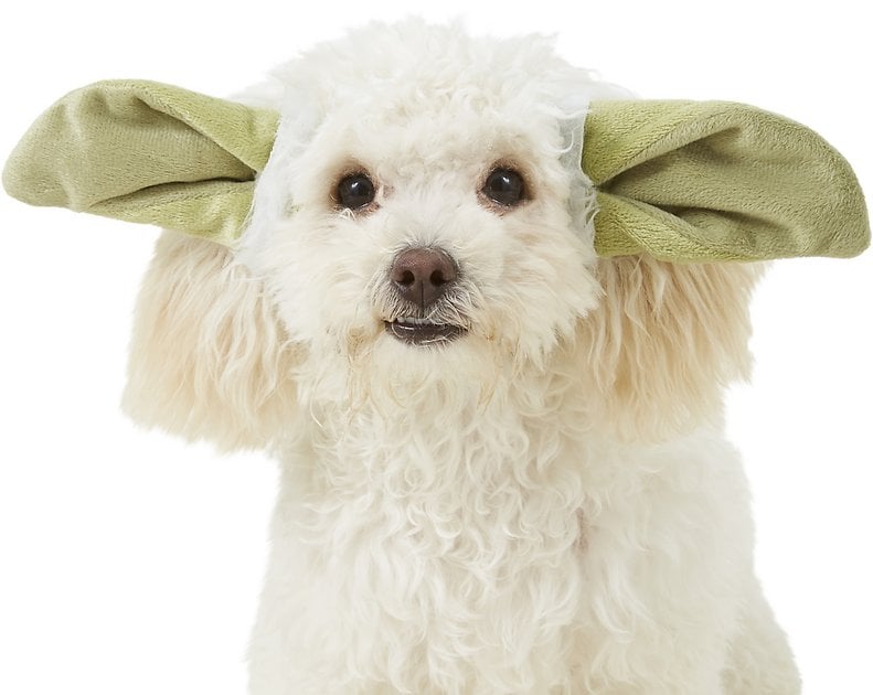 Rubie's Costume Company Yoda Ears Dog & Cat Costume
