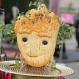 Disneyland's New Baby Groot Bread Just Might Be Too Cute to Eat!