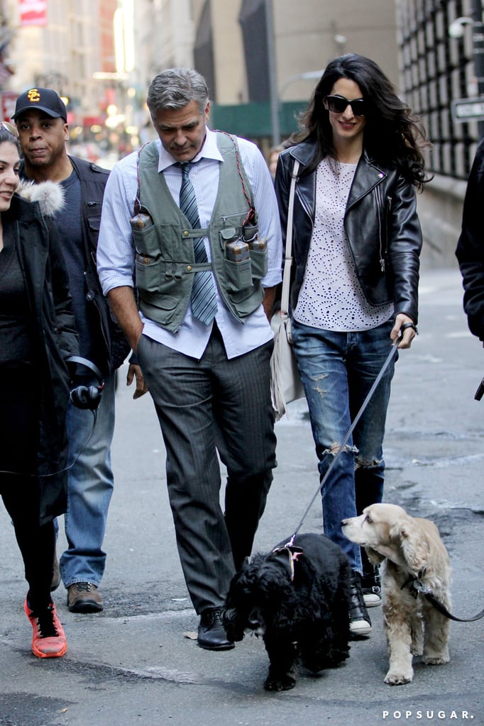 Amal Alamuddin Visits George Clooney on Set With His Dog
