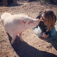 Yes, You Can Actually Visit (and Befriend) Pigs at This Awesome Sanctuary in Arizona