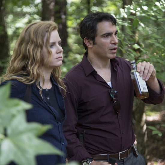 What Else Have Amy Adams and Chris Messina Been in Together?
