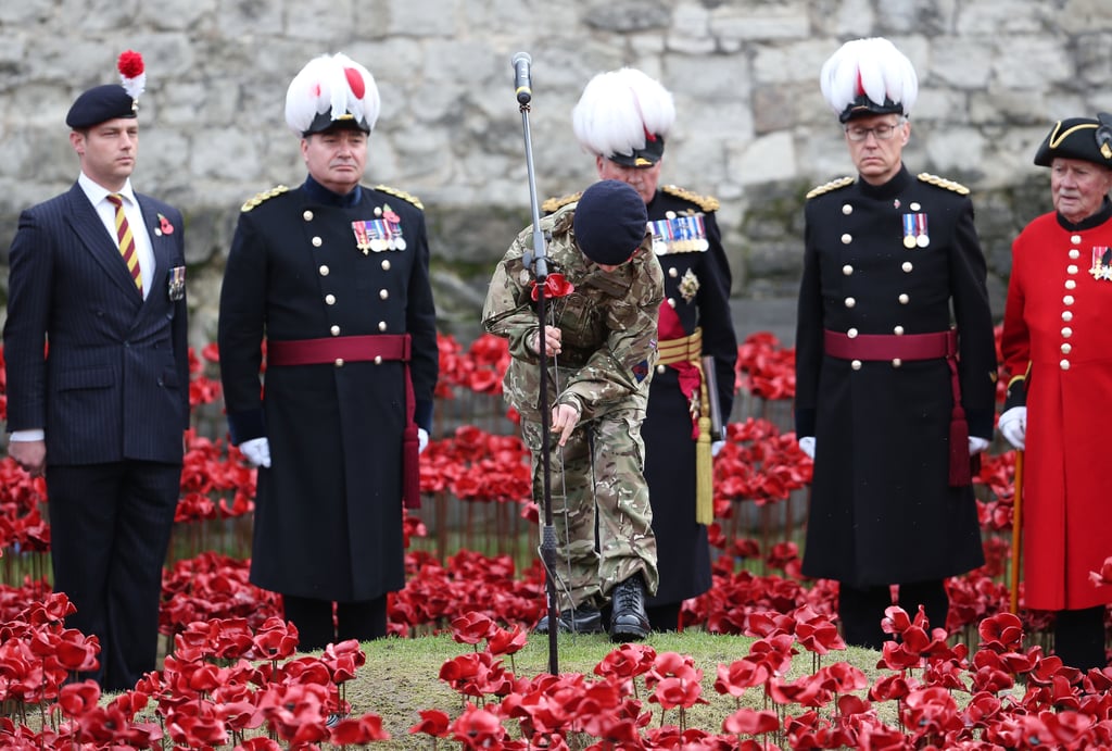 Veterans Day 2014 | Pictures