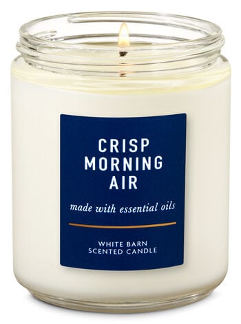 Crisp Morning Air Single Wick Candle