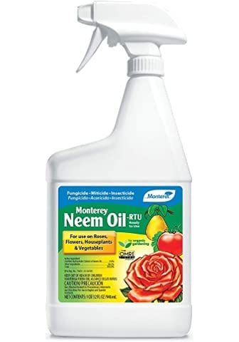 For Keeping Bugs Away: Organix South Neem Oil