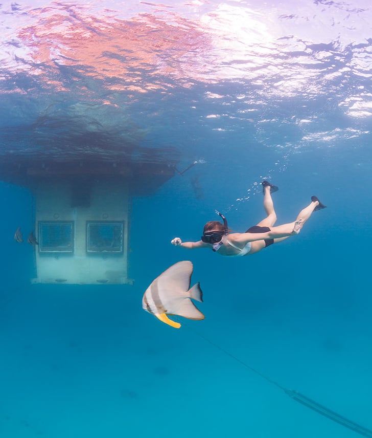 Underwater Hotel Room POPSUGAR Smart Living Photo 12