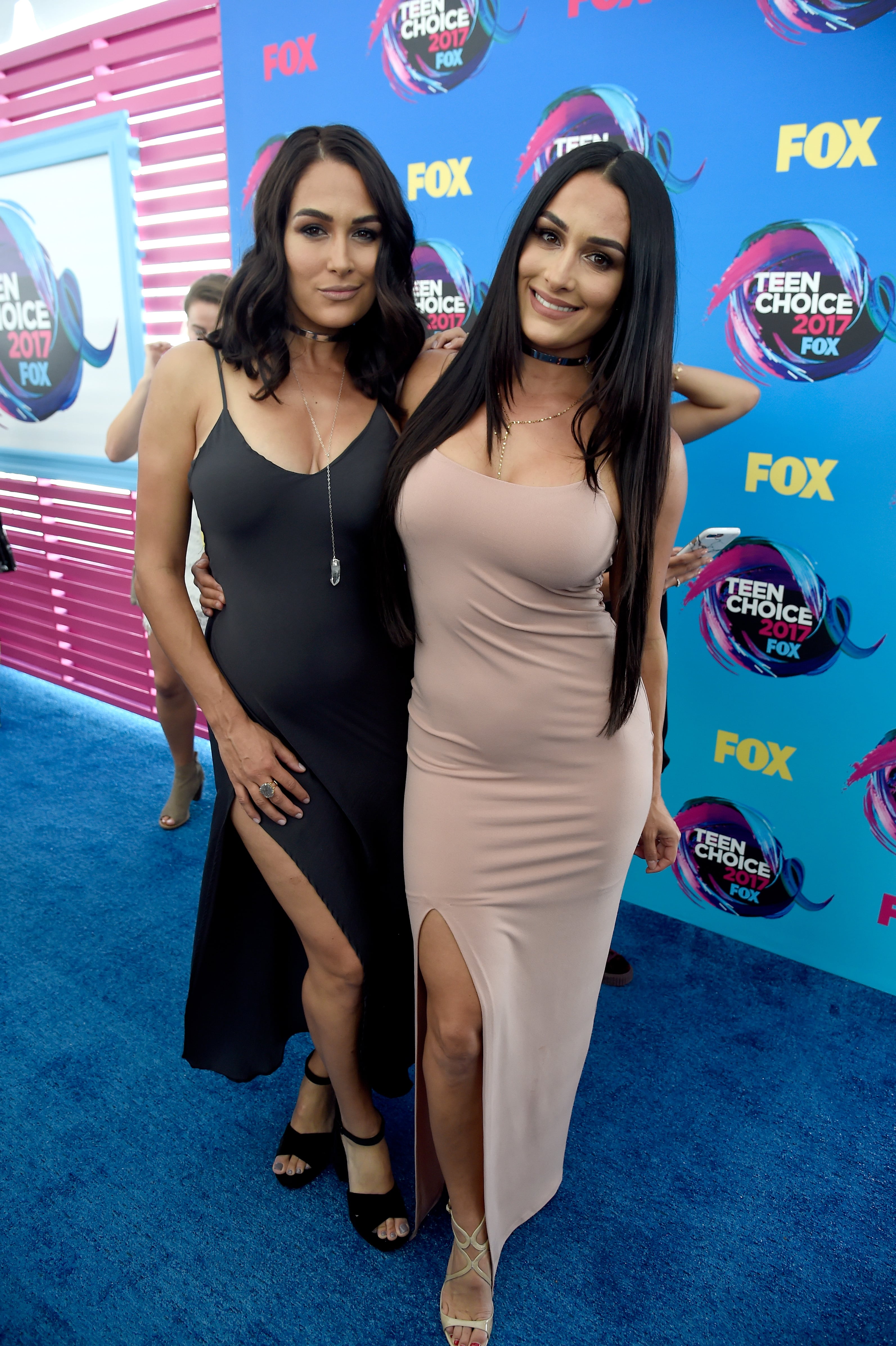 nikki bella and brie bella