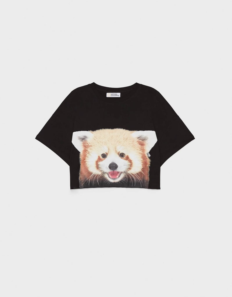 Bershka x National Geographic Panda T-Shirt