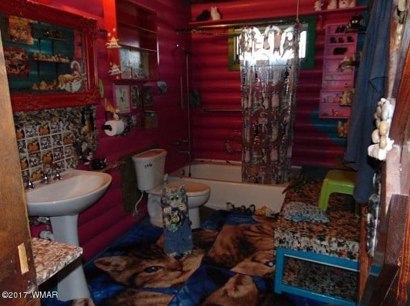 Cat House in Arizona
