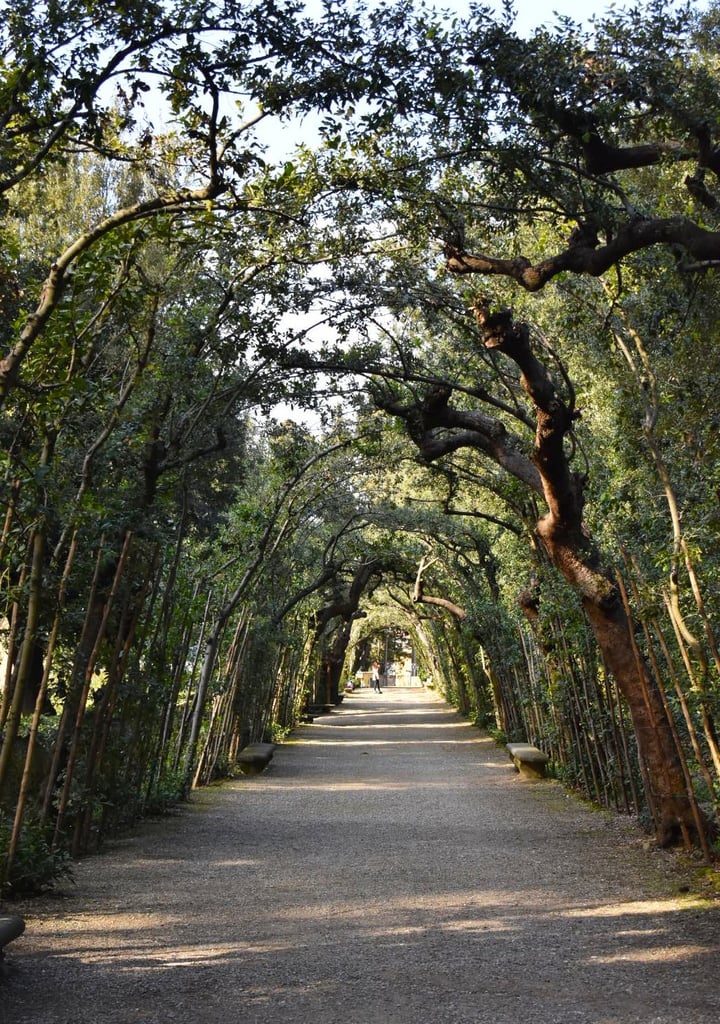 Giardino di Boboli
There is no place more beautiful to rest your feet and enjoy the sunshine than the Boboli Gardens, an enchanting park sprinkled with wildflowers, ancient sculptures, and charming little nooks with trees and benches. Here you'll find the perfect spot to escape the hustle and bustle and journal, read, have a picnic, or take a well-deserved nap.