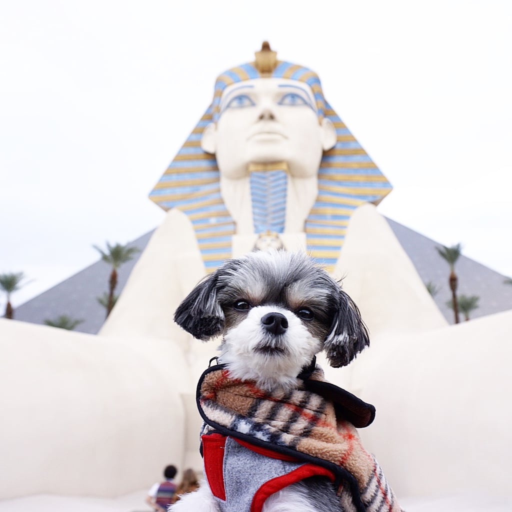 I got to experience what it feels like to be an Egyptian princess.