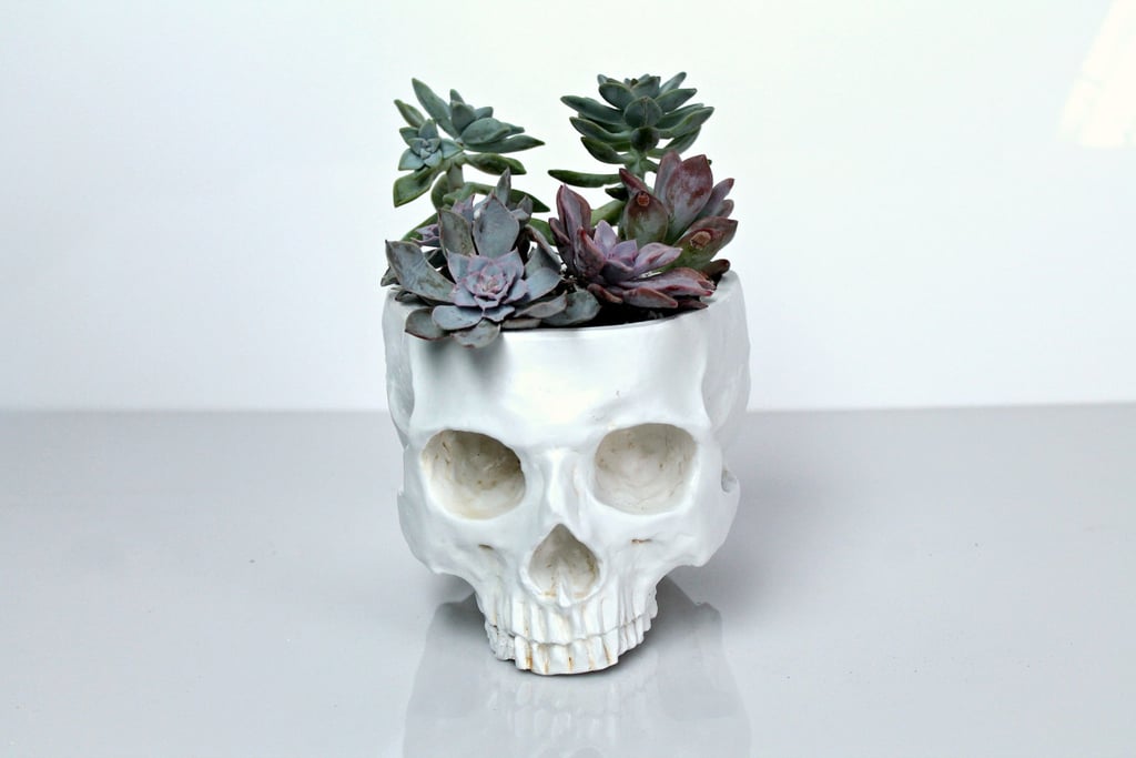 This plant holder ($59) might be the most hyper-realistic skull we've seen yet!