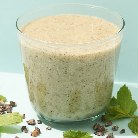 Healthy Dairy-Free Mint Chocolate Chip Smoothie