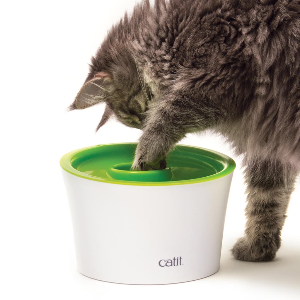 Catit Multi Cat Feeder