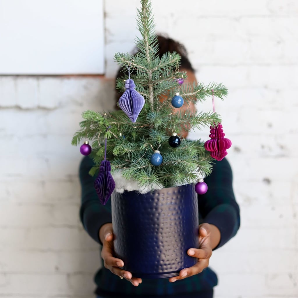 Farmgirl Flowers Blue Ridge Mountain Christmas Tree