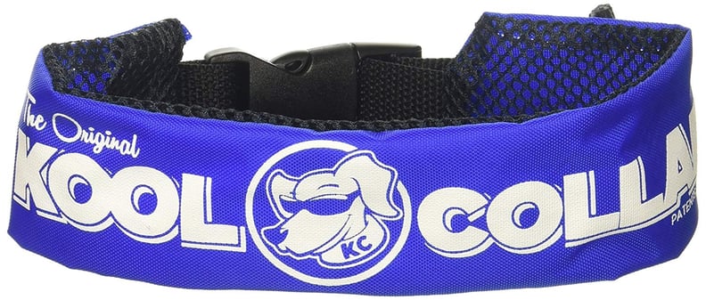 Kool collar 2025 for dogs