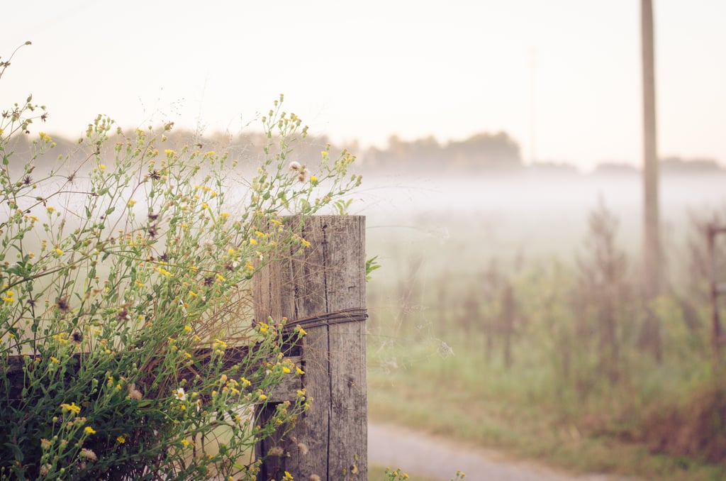 The quiet of an early morning.