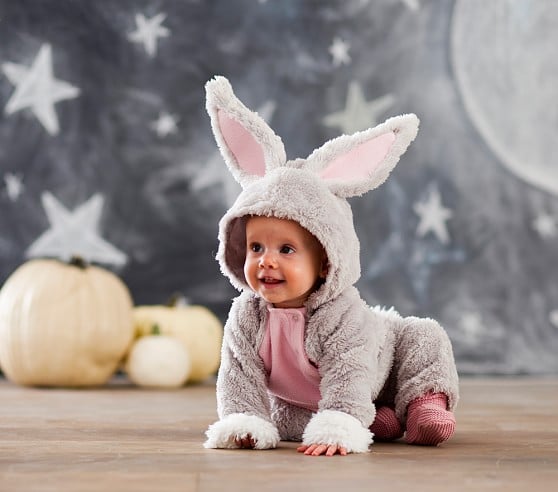 newborn bunny costume