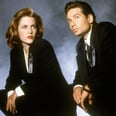 The X-Files: David Duchovny, Gillian Anderson, and the Whole Cast