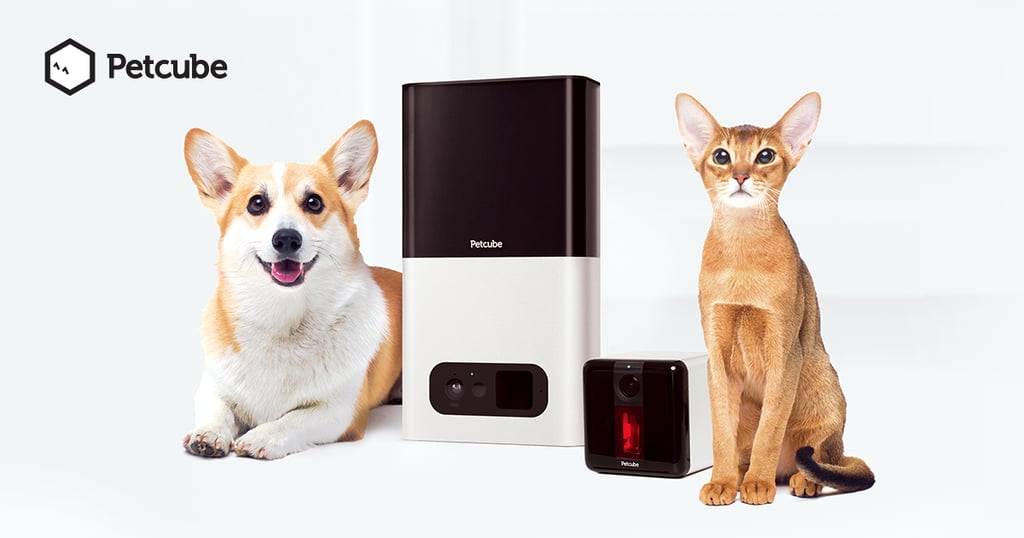 Petcube