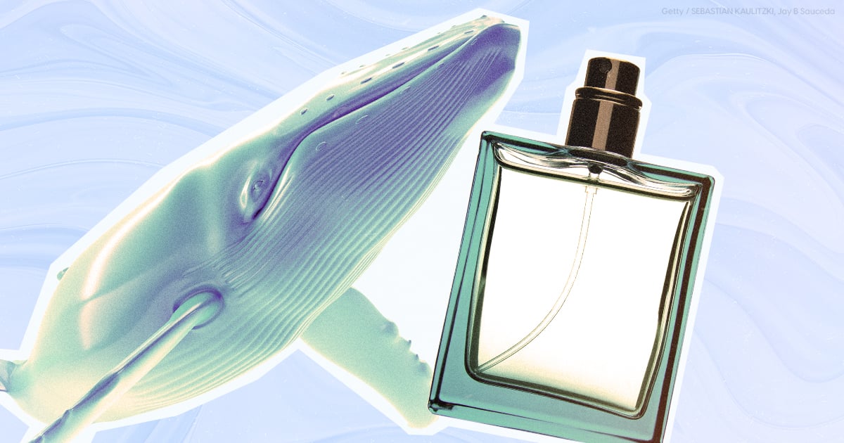 Sebastian clearance fragrance reviews