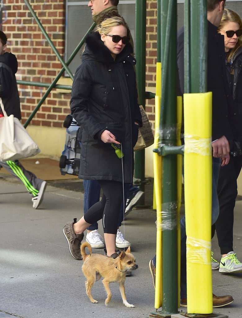 Jennifer Lawrence With Dog and Bodyguard in NYC | Pictures