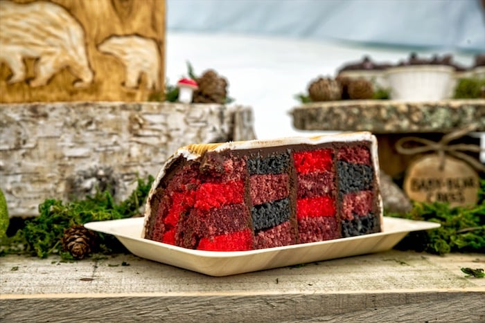 Wilderness-Themed Birthday Party
