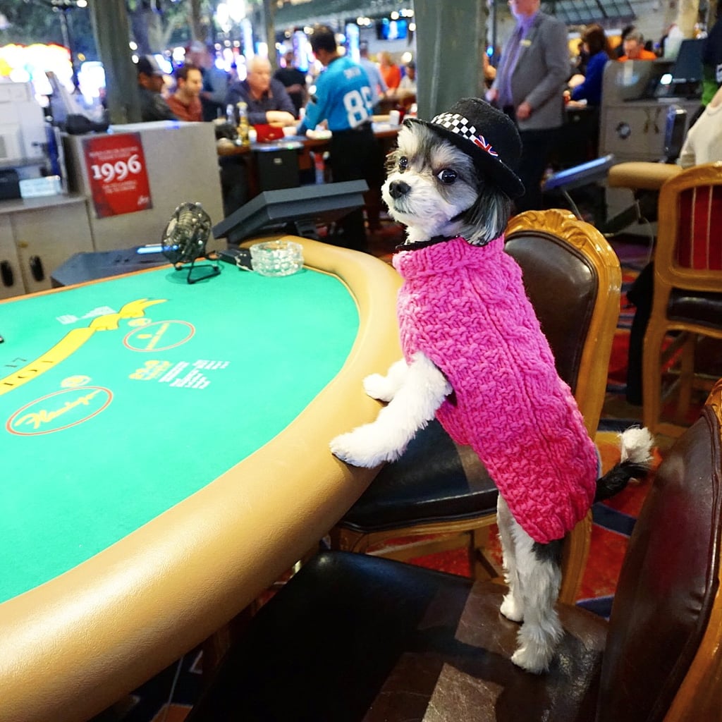 And I didn't go gambling; I went winning.