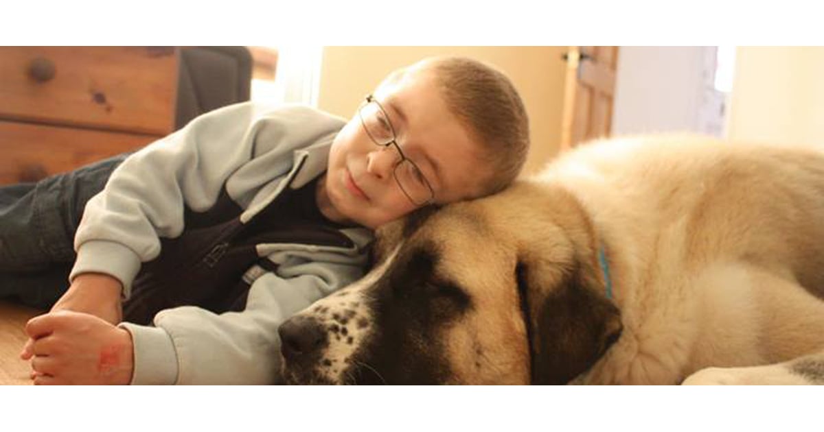 Boy With Schwartz-Jampel Syndrome Gets Help From Dog Haatchi | POPSUGAR ...